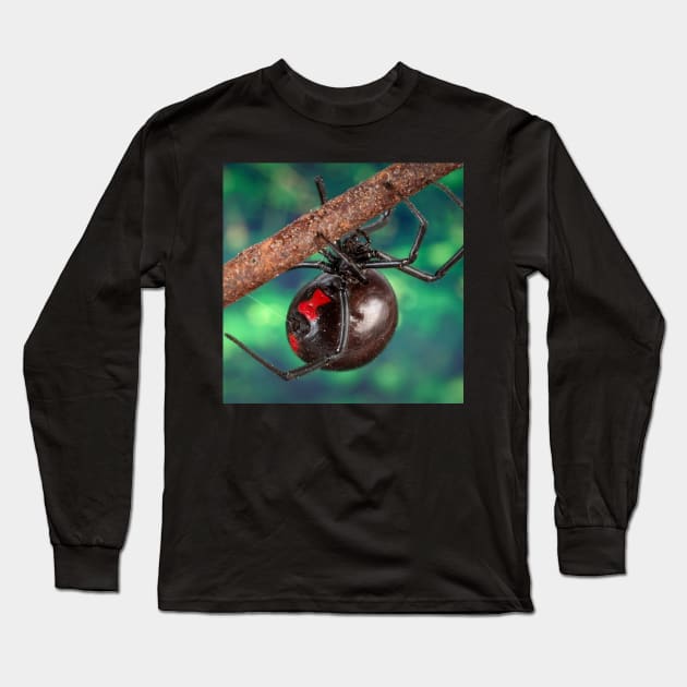 Black Widow Long Sleeve T-Shirt by Rosettemusicandguitar